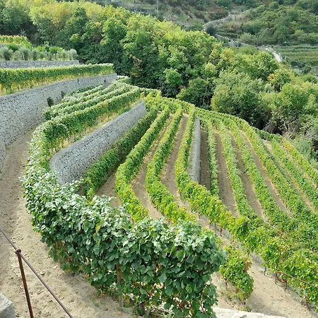 Terme La Pergola Отель 3*