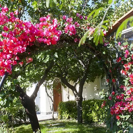 Отель Terme La Pergola Казамиччола-Терме