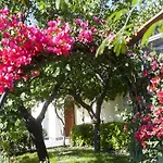 מלון Terme La Pergola Casamicciola Terme
